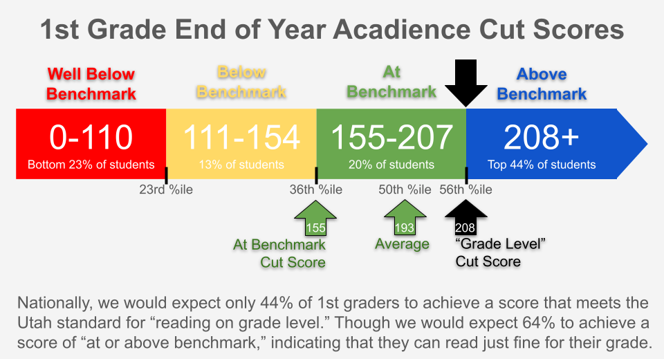 Image showing the score categories for 1st grade Acadience reading